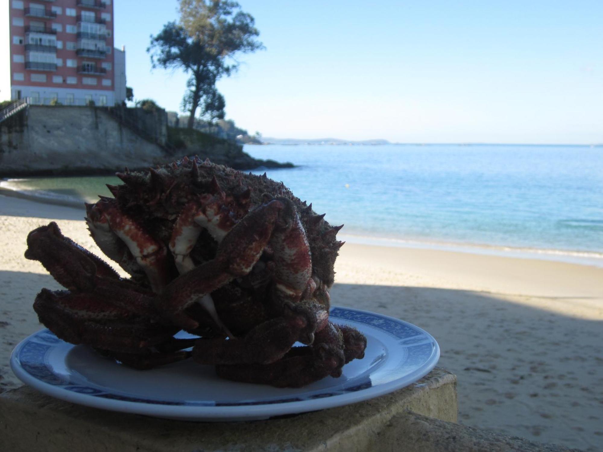 Hotel Restaurante Loureiro Буэу Экстерьер фото